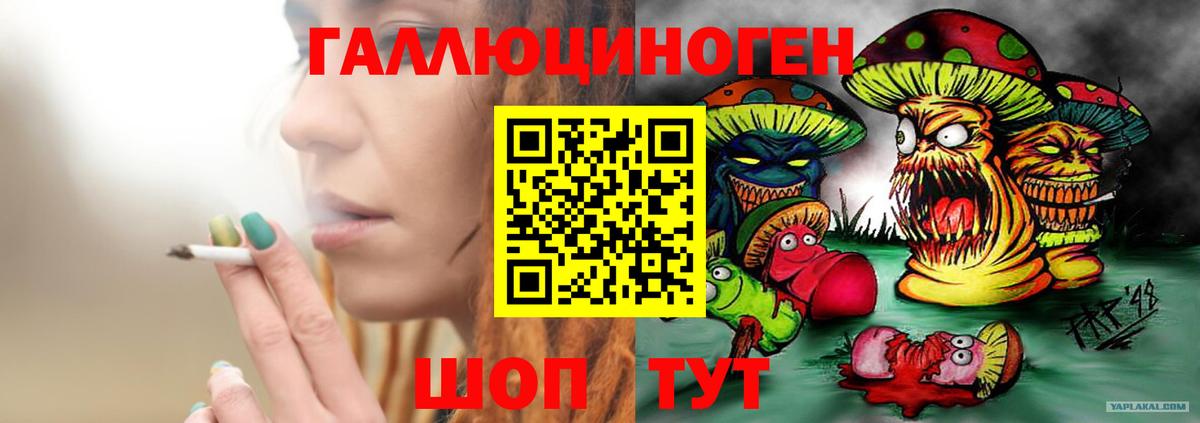 Псилоцибиновые грибы GOLDEN TEACHER Грязи