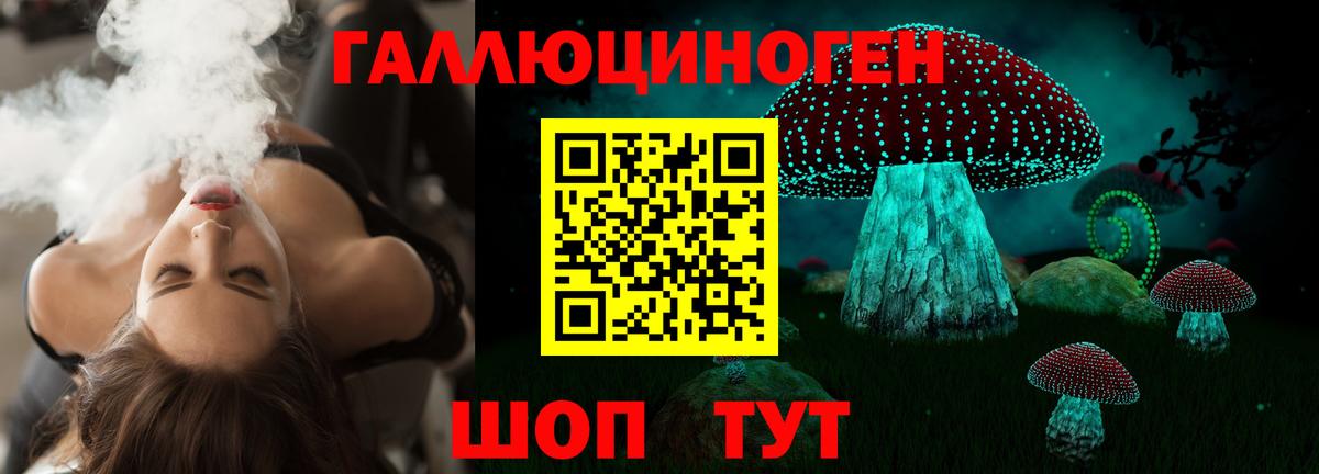 Грязи  Псилоцибиновые грибы прущие грибы  где продают наркотики  Вход с VPN 